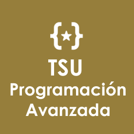 TSU - Programación Avanzada